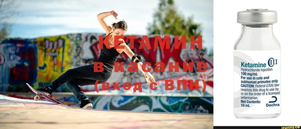 шишки Ладушкин