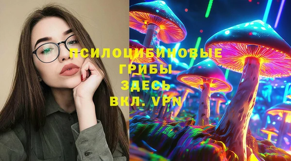 шишки Ладушкин