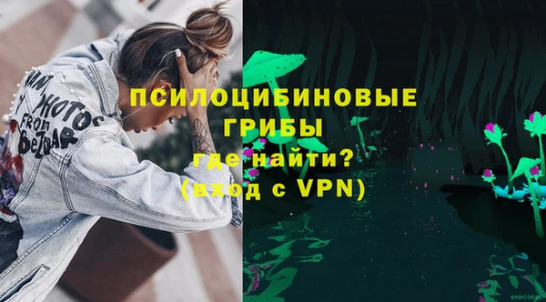 шишки Ладушкин