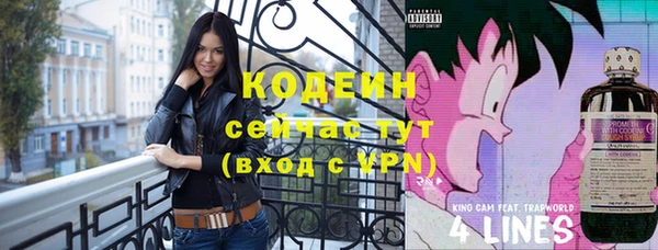 шишки Ладушкин